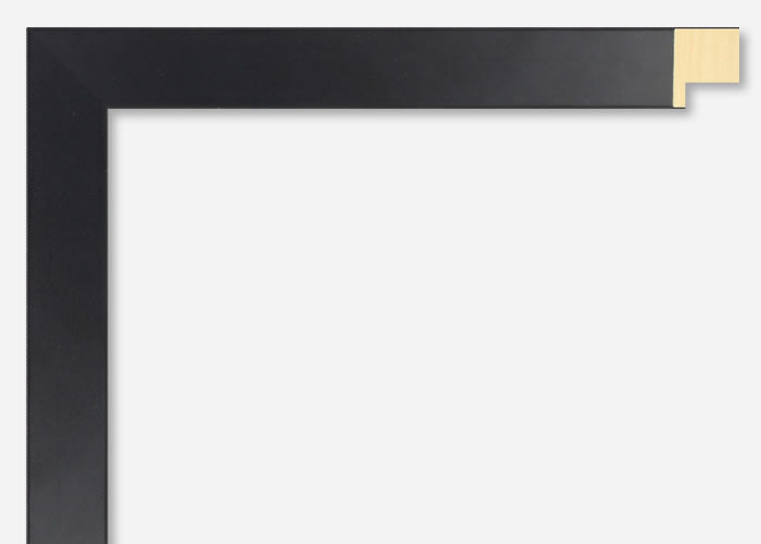 Custom Frame CFSX2400-35