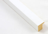 Custom Frame CFSX2400-40