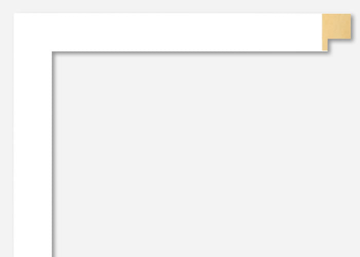 Custom Frame CFSX2400-40