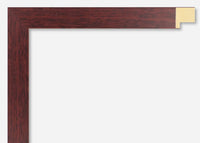 Custom Frame CFSX2400-45