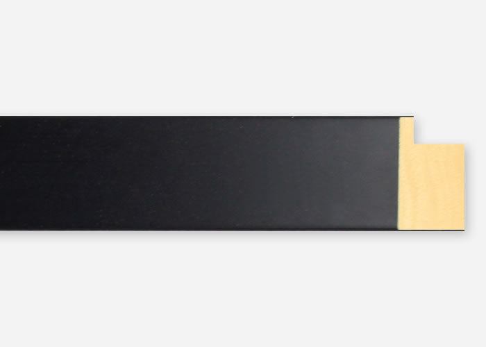 Custom Frame CFSX2400-65