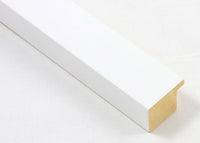 Custom Frame CFSX305-755