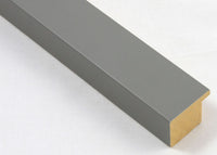 Custom Frame CFSX2400-85