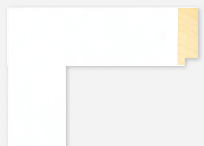 Custom Frame CFSX2405-05