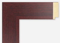 Custom Frame CFSX2405-10