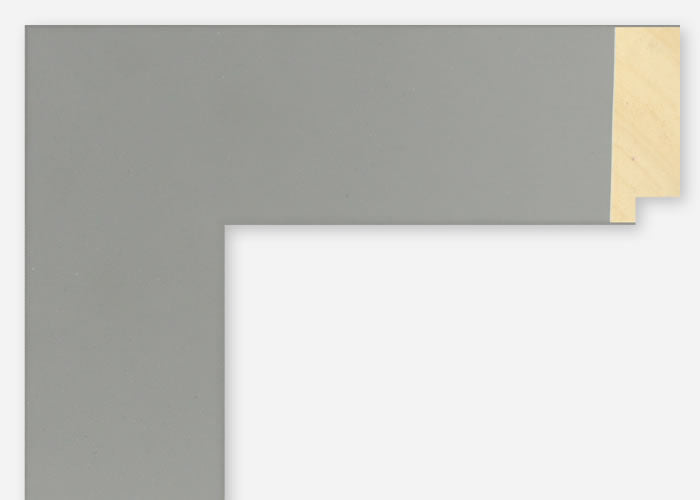 Custom Frame CFSX2405-20