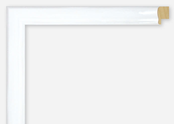 Custom Frame CFSX2405-60x