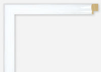 Custom Frame CFSX2405-60x