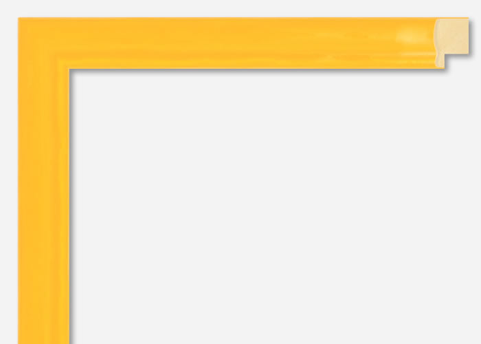 Custom Frame CFSX2405-85x