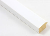 Custom Frame CFSX2415-90