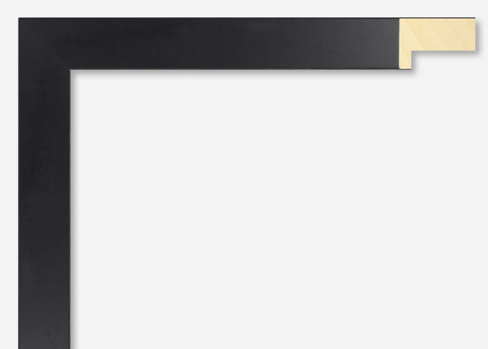 Custom Frame CFSX2435-10