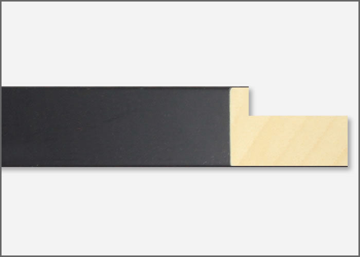 Custom Frame CFSX2435-10