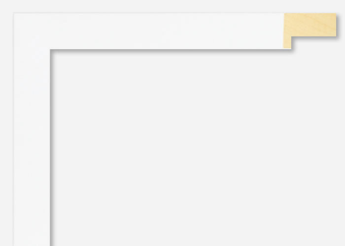 Custom Frame CFSX2435-15