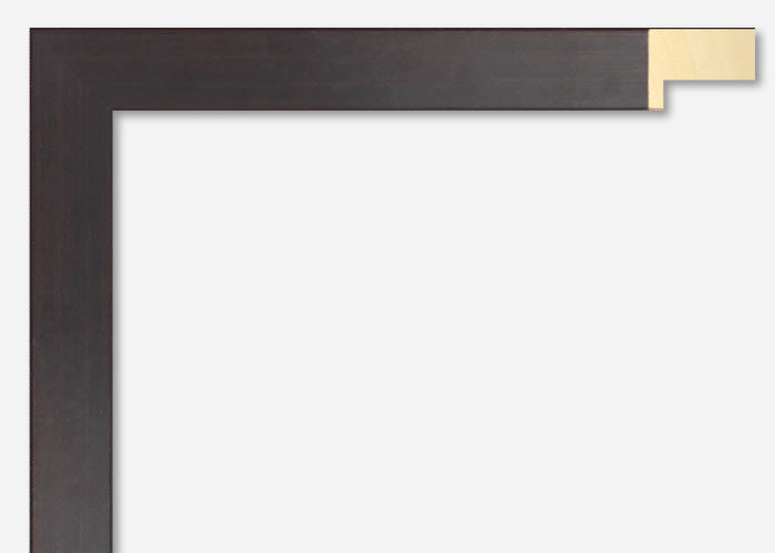 Custom Frame CFSX2435-45