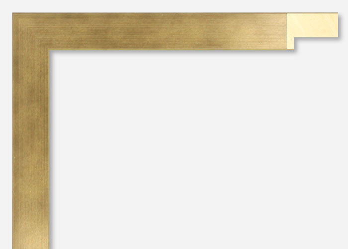 Custom Frame CFSX2435-50