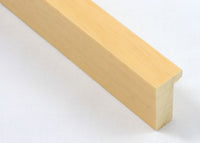 Custom Frame CFSX2435-60