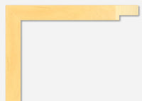 Custom Frame CFSX2435-60