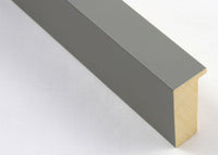 Custom Frame CFSX2440-15