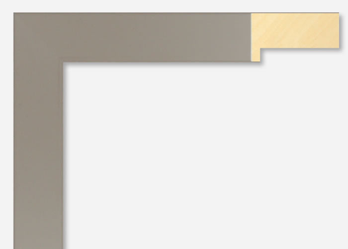 Custom Frame CFSX2440-20