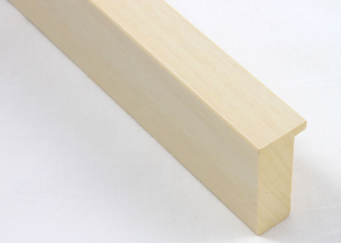 Custom Frame CFSX2440-40