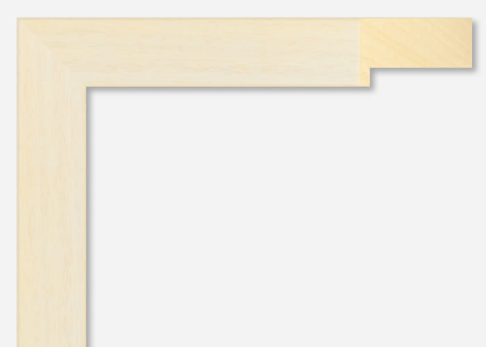 Custom Frame CFSX2440-40