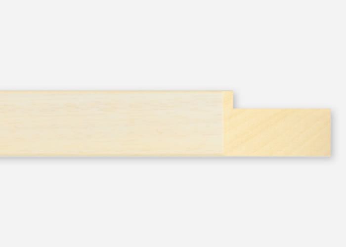 Custom Frame CFSX2440-40