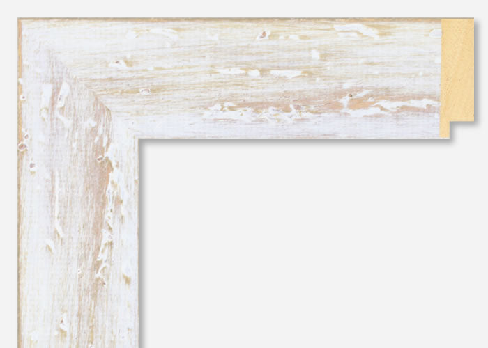 Custom Frame CFSX2500-55