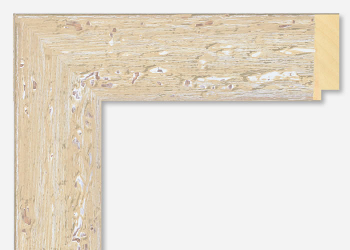 Custom Frame CFSX2500-60