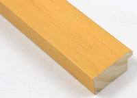 Custom Frame CFSX310-380