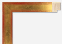 Custom Frame CFSX310-685