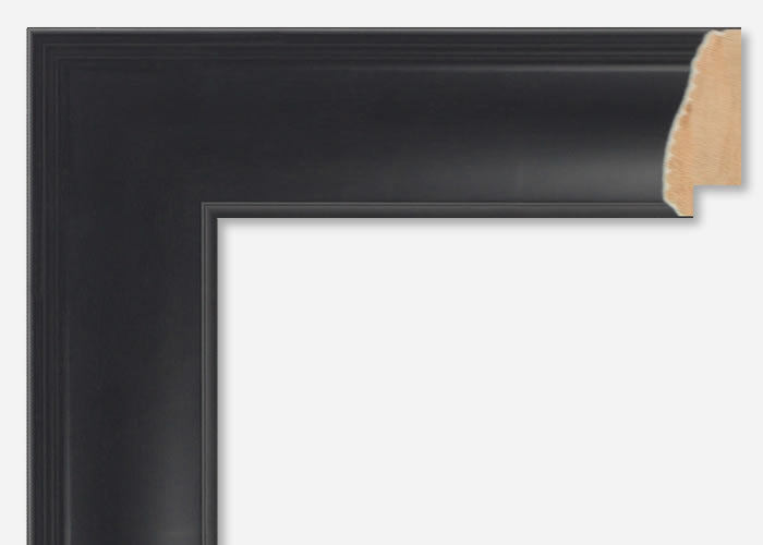 Custom Frame CFSX350-55
