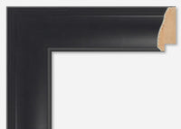 Custom Frame CFSX350-55