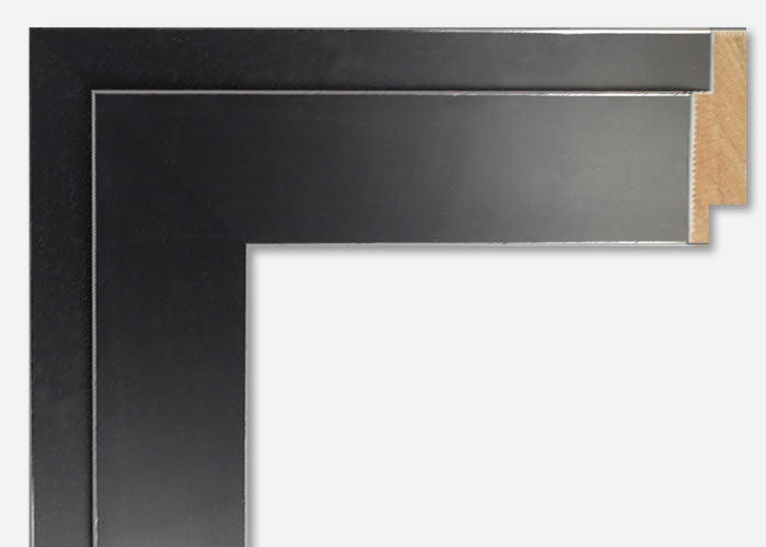 Custom Frame CFSX800-365