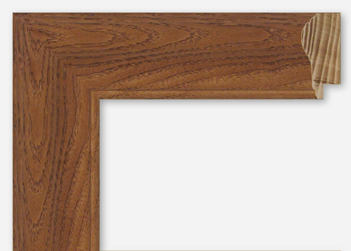 Custom Frame CFSXCN-443