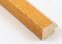 Custom Frame CFSYH4257