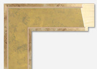 Discontinued Custom Frame CFSYI654