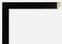 Custom Frame CFSX385-05