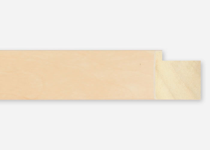 Custom Frame CFSYM2005