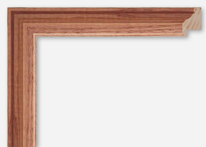 Custom Frame CFSXML-990