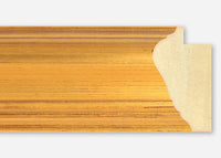 Custom Frame CFSYN03