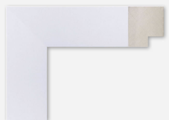 Custom Frame CFSYN1011