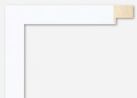 Custom Frame CFSYN1211