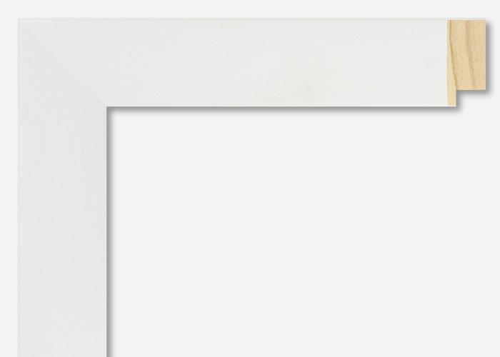 Custom Frame CFSYN2111