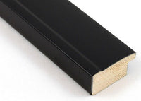 Custom Frame CFSYN2910