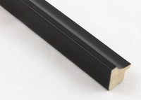 Custom Frame CFSYN4810