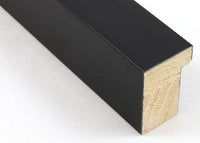 Custom Frame CFSYN570