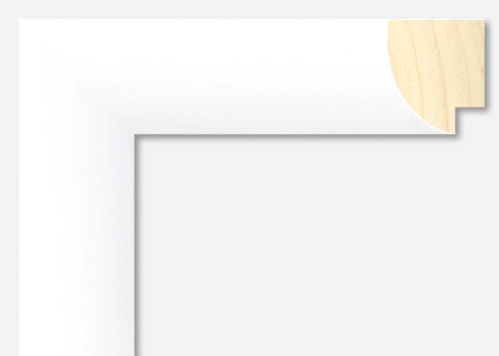 Custom Frame CFSYN7011