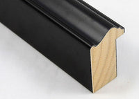 Custom Frame CFSX300-590