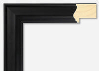 Custom Frame CFSX300-590