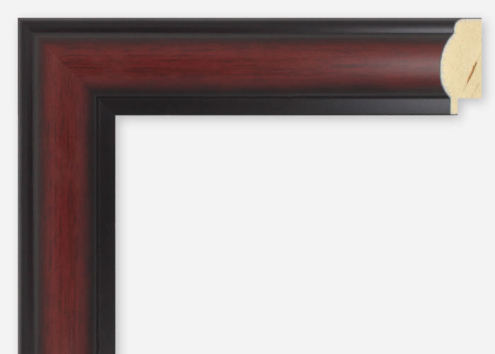 Custom Frame CFSX340-15